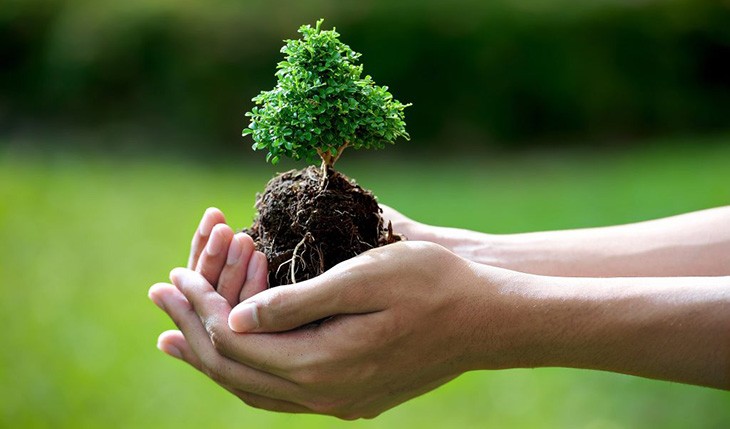 Cách Thay Đổi Vận Mệnh Đem Lại May Mắn Cho 10 Thiên Can Ngày Sinh