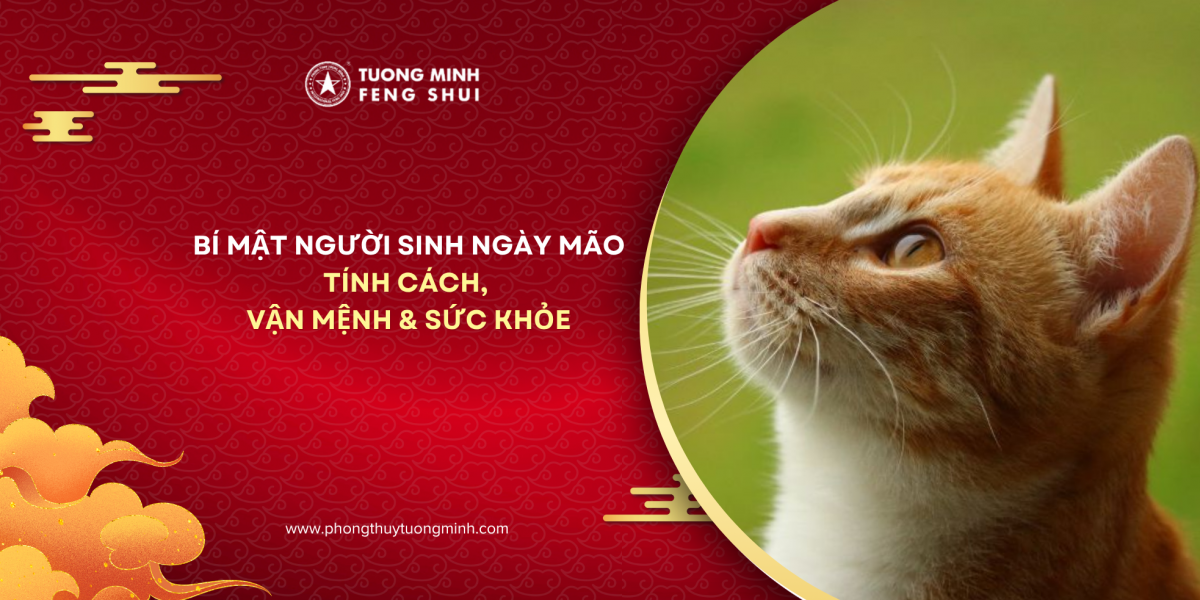 Người Sinh Ngày Mão Và Những Bí Mật Về Tính Cách, Vận Mệnh Và Sức Khỏe