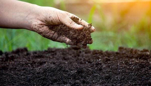 Cách Thay Đổi Vận Mệnh Đem Lại May Mắn Cho 10 Thiên Can Ngày Sinh