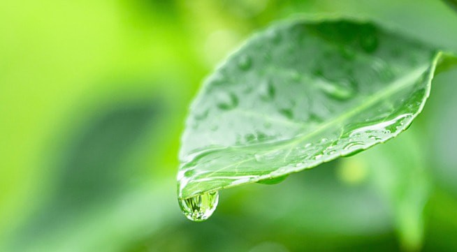 Dụng Thần Điều Hậu Cho Người Mệnh Thủy: Ngày Nhâm Thủy Và Quý Thủy