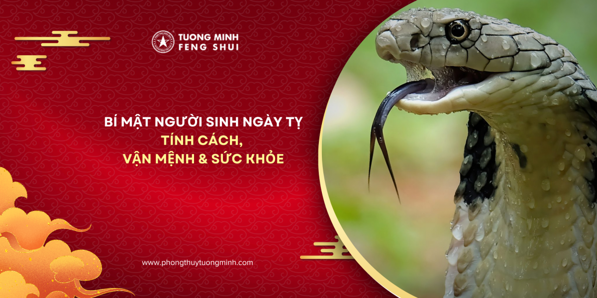Người Sinh Ngày Tỵ Và Những Bí Mật Về Tính Cách, Vận Mệnh, Sức Khỏe