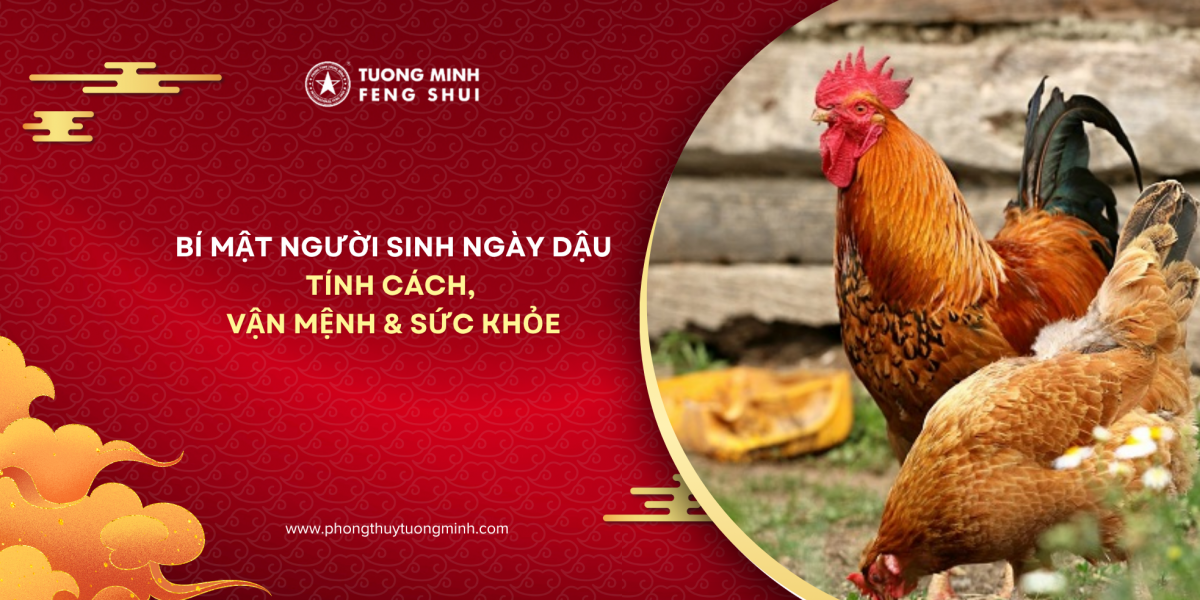 Người Sinh Ngày Dậu Và Những Bí Mật Về Tính Cách, Vận Mệnh, Sức Khỏe