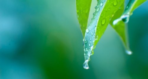 Dụng Thần Điều Hậu Cho Người Mệnh Thủy: Ngày Nhâm Thủy Và Quý Thủy