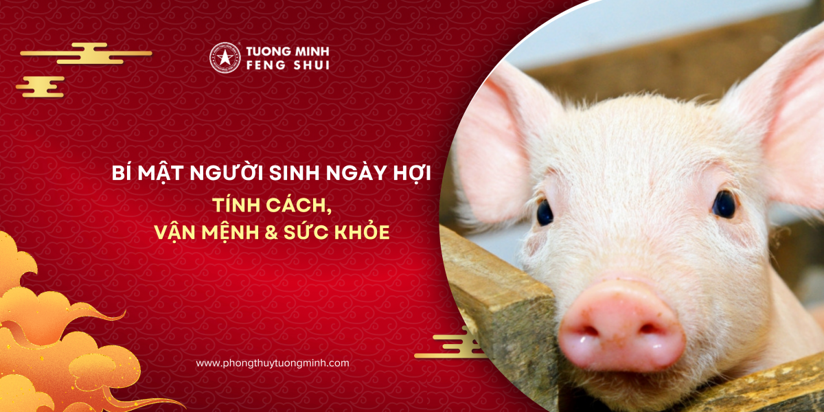 Người Sinh Ngày Hợi Và Những Bí Mật Về Tính Cách, Vận Mệnh, Sức Khỏe