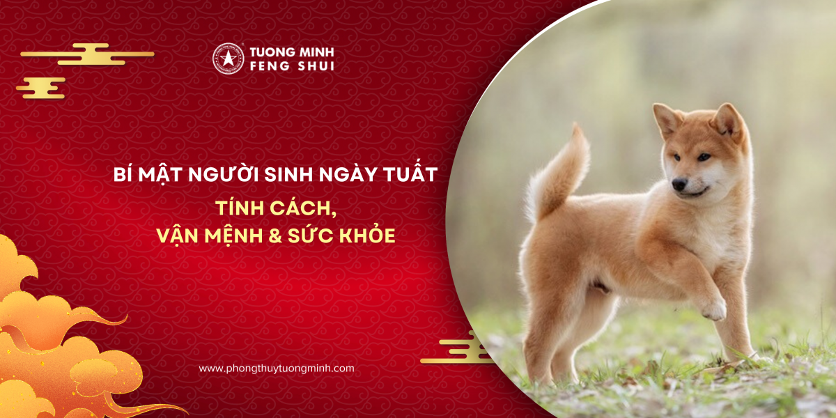 Người Sinh Ngày Tuất Và Những Bí Mật Về Tính Cách, Vận Mệnh, Sức Khỏe