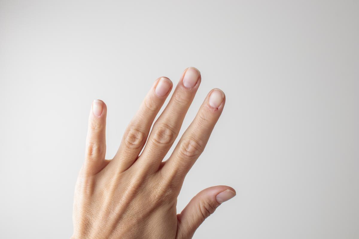 Xem Tướng Bàn Tay Theo Ngũ Hành: Cách Nhận Biết Bàn Tay Thuộc Kim, Mộc, Thủy, Hỏa, Thổ