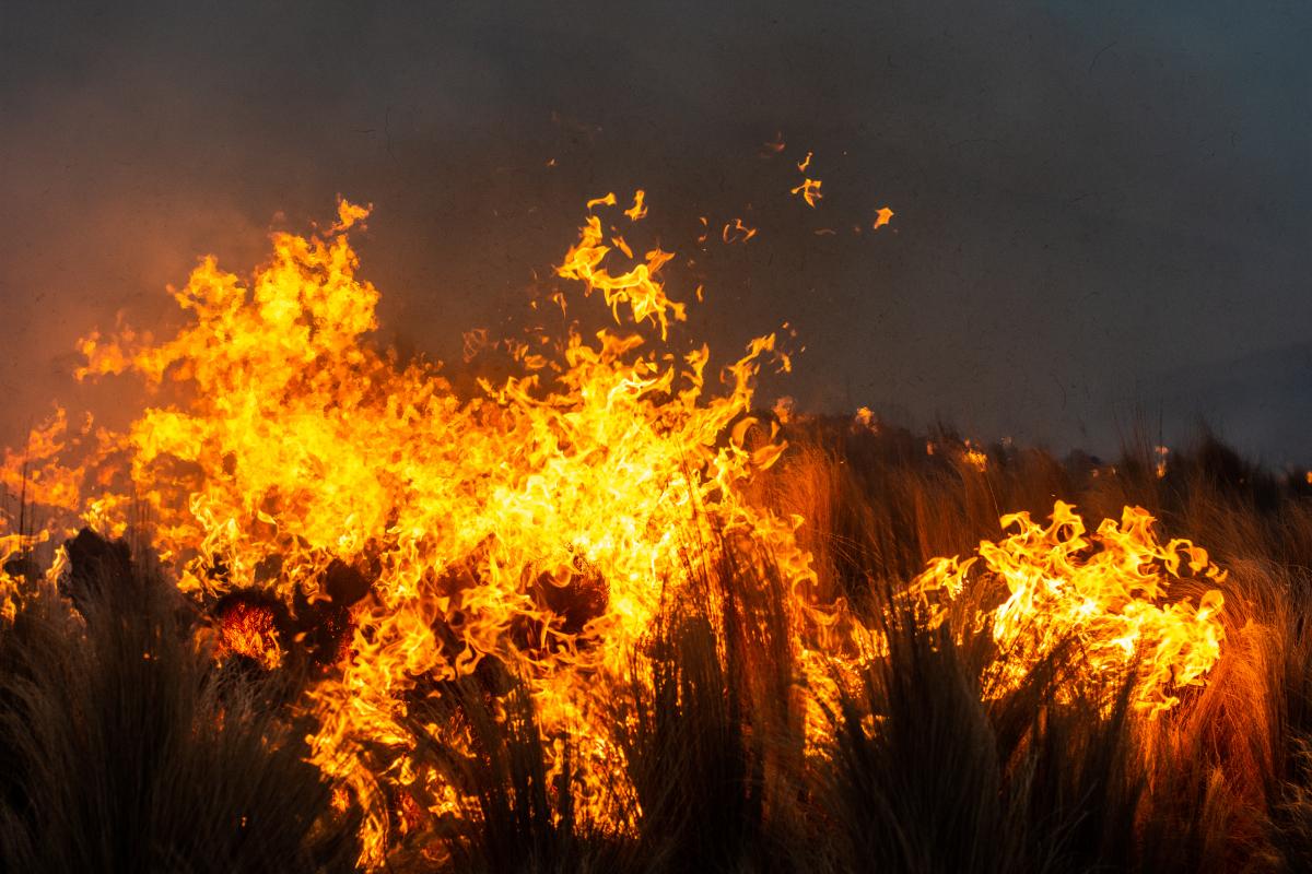 Cách Cân Bằng Ngũ Hành Qua Du Lịch Cho Người Khuyết Mệnh Cách Cân Bằng Ngũ Hành Qua Du Lịch Cho Người Khuyết Mệnh