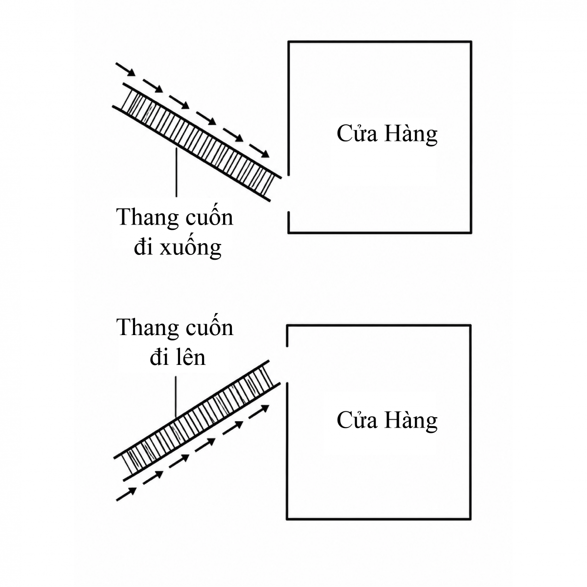  Phong Thủy Chọn Mặt Bằng Kinh Doanh Trong Trung Tâm Thương Mại 