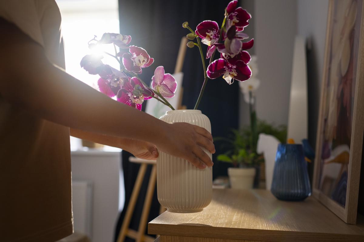 4 Cách Tăng Vận Đào Hoa Giúp Tình Duyên Khởi Sắc 4 Cách Tăng Vận Đào Hoa Giúp Tình Duyên Khởi Sắc