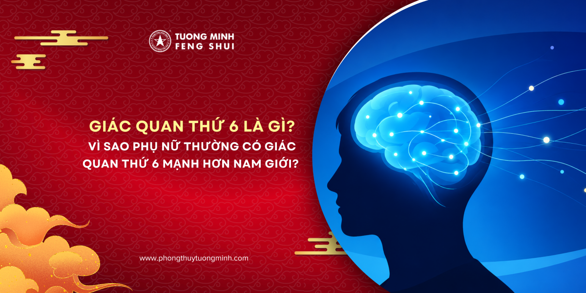 Giác Quan Thứ 6 Là Gì? Vì Sao Phụ Nữ Thường Có Giác Quan Thứ 6 Mạnh Hơn Nam Giới? Giác Quan Thứ 6 Là Gì? Vì Sao Phụ Nữ Thường Có Giác Quan Thứ 6 Mạnh Hơn Nam Giới?