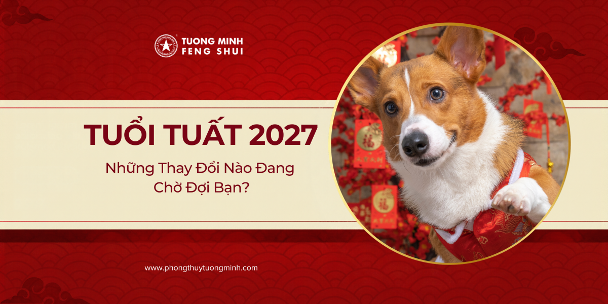 Tuổi Tuất Năm Đinh Mùi 2027: Những Thay Đổi Nào Đang Chờ Đợi Bạn? Tuổi Tuất Năm Đinh Mùi 2027: Những Thay Đổi Nào Đang Chờ Đợi Bạn?