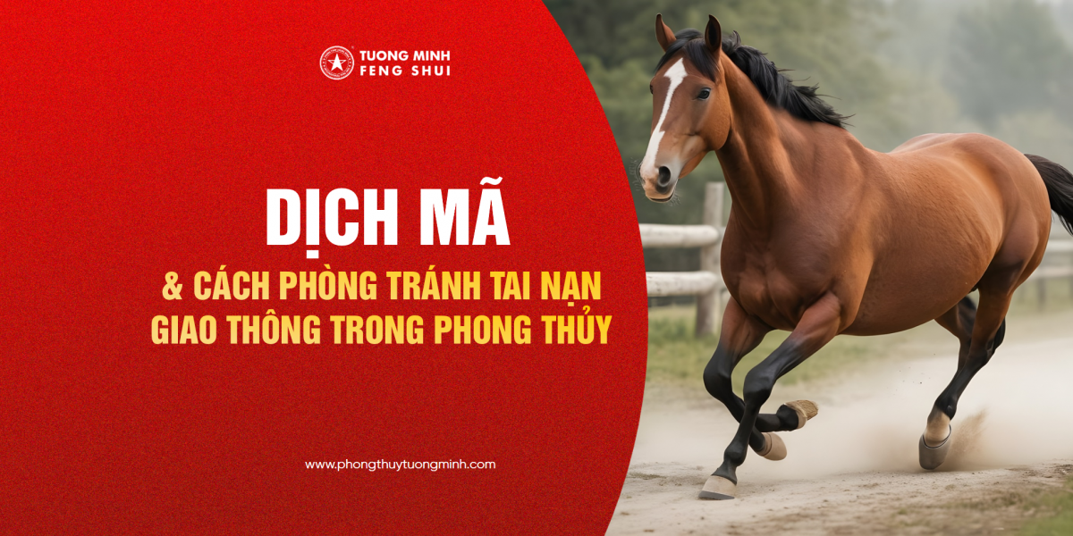 Ý Nghĩa Dịch Mã  & Cách Phòng Tránh Tai Nạn Giao Thông Nhờ Dịch Mã Trong Phong Thủy