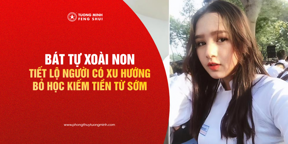 Bát Tự Có Xu Hướng Bỏ Học Đi Kiếm Tiền Từ Sớm - Bài Học Bát Tự Từ Xoài Non