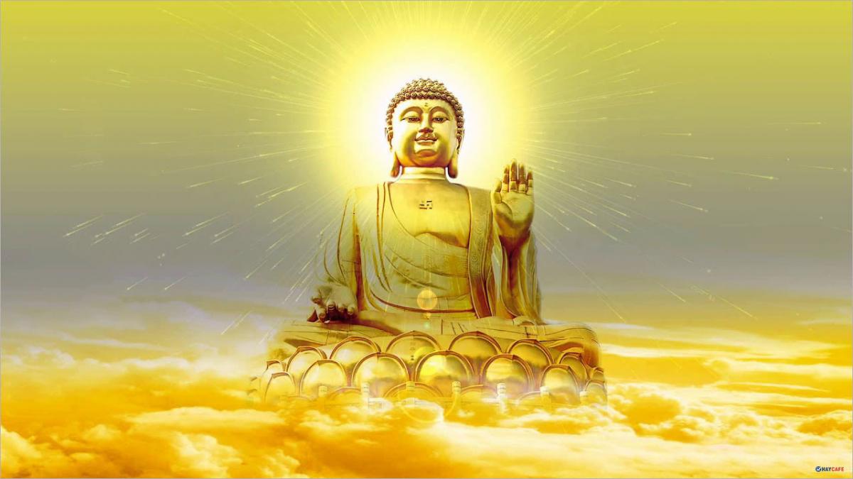 8 câu hỏi mà con người hay thắc mắc trong cuộc sống