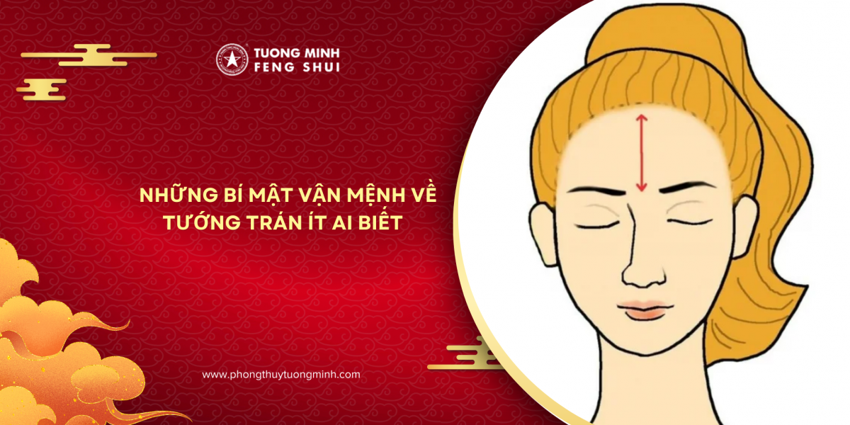 5 Tướng Trán Phổ Biến Nhất & Bí Mật Vận Mệnh Ít Ai Biết