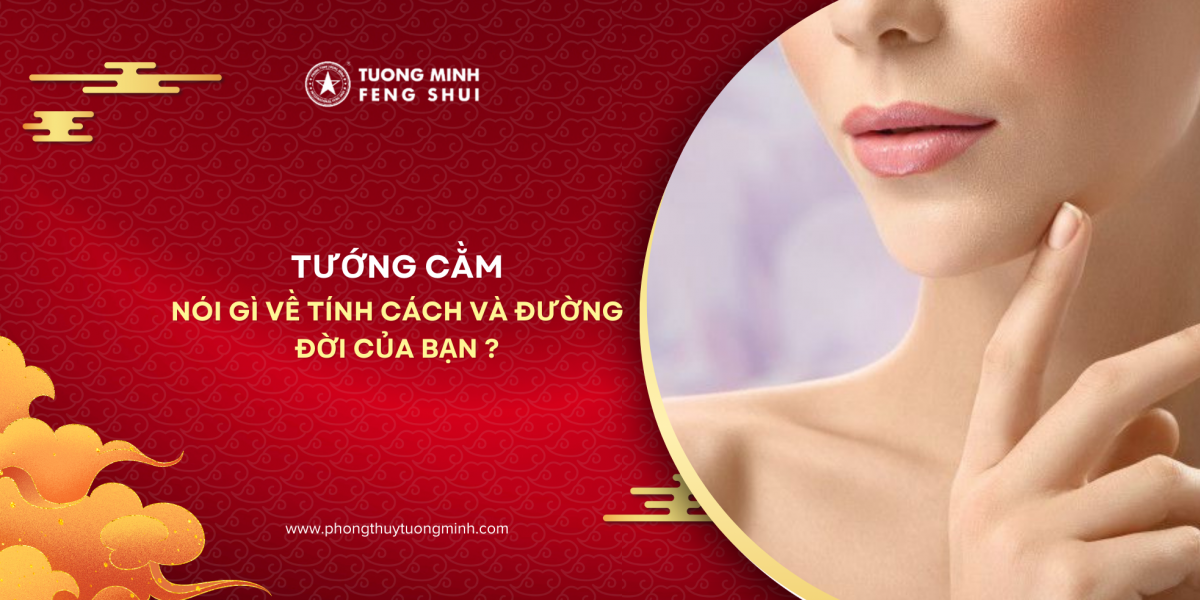 Nhìn Tướng Cằm Đoán Tính Cách Và Đường Đời Theo Nhân Tướng Học