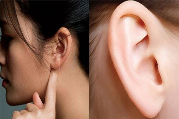 Khám phá bí mật về tướng tai nam nữ