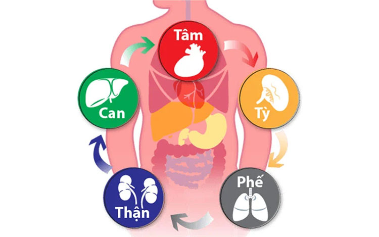 10 Dấu Hiệu Nhận Biết Bát Tự & Phong Thủy Thúc Đẩy Nguy Cơ Thừa Cân Béo Phì 