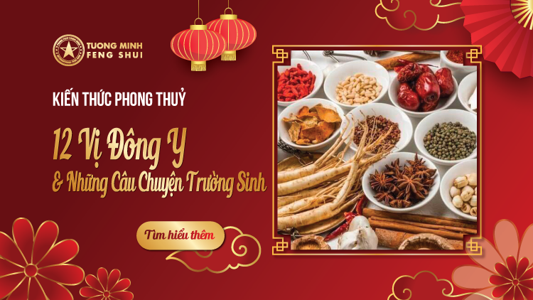 12 Vị Đông Y & Những Câu Chuyện Trường Sinh