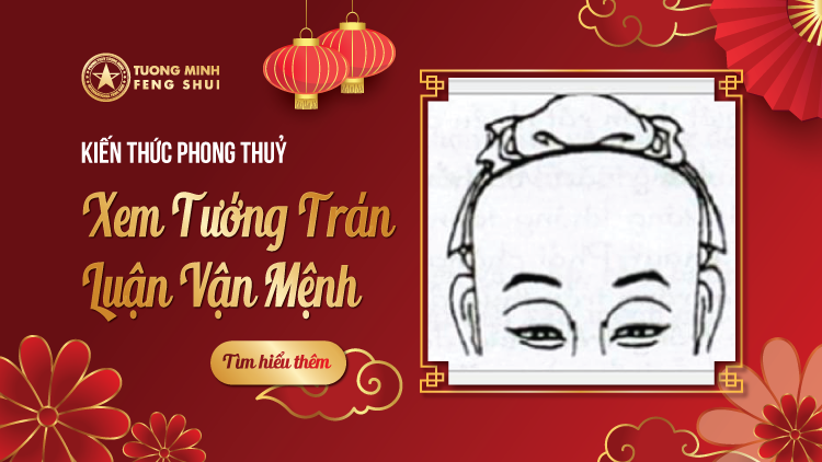 xem tướng tráng luận giải vận mệnh theo diện tướng học